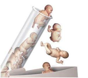培养箱